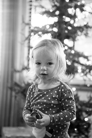 _MG_0851