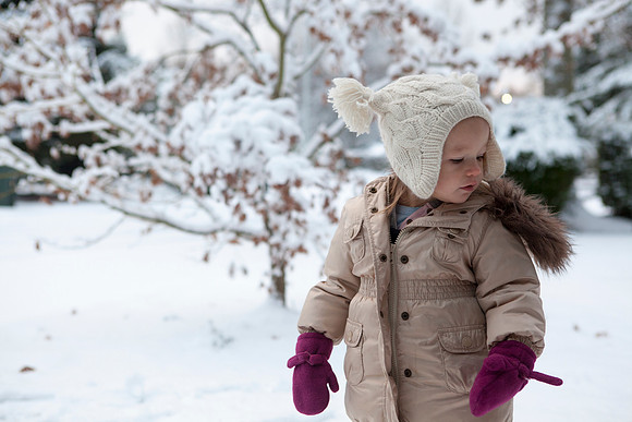 _MG_0811