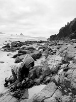 IMG_6633