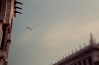 Flight Through Venice