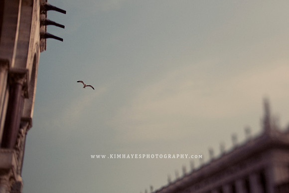 Flight Through Venice